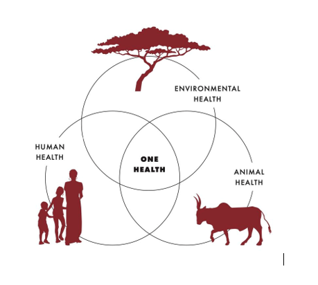 One Health Image